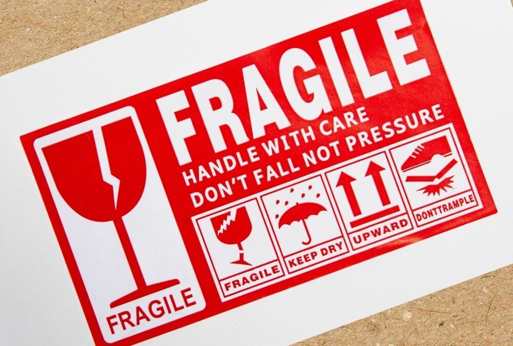 Pourquoi choisir un emballage en cellulose moulée pour vos produits fragiles ?